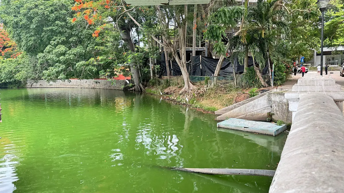 laguna 1